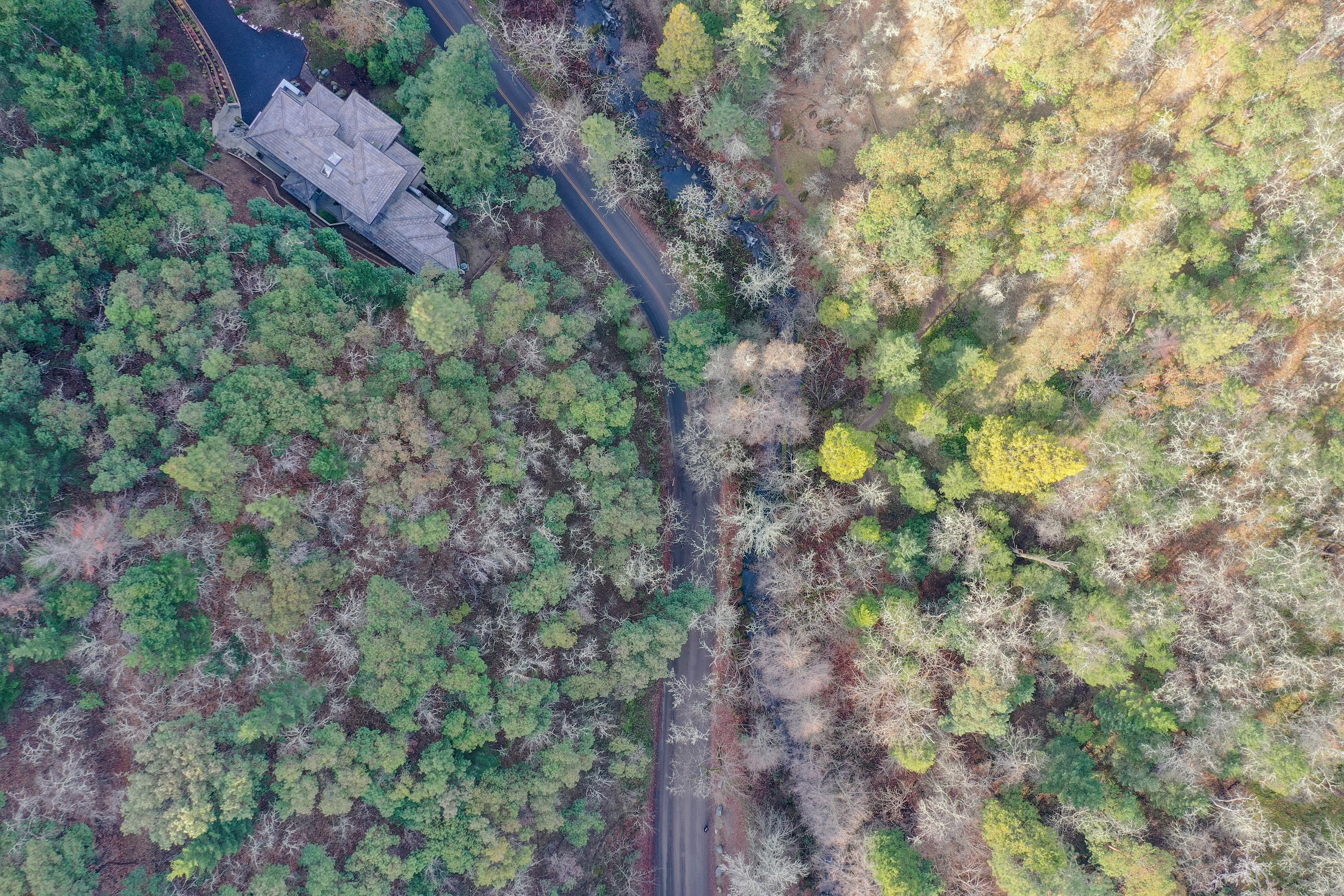 DJI_0439.jpg