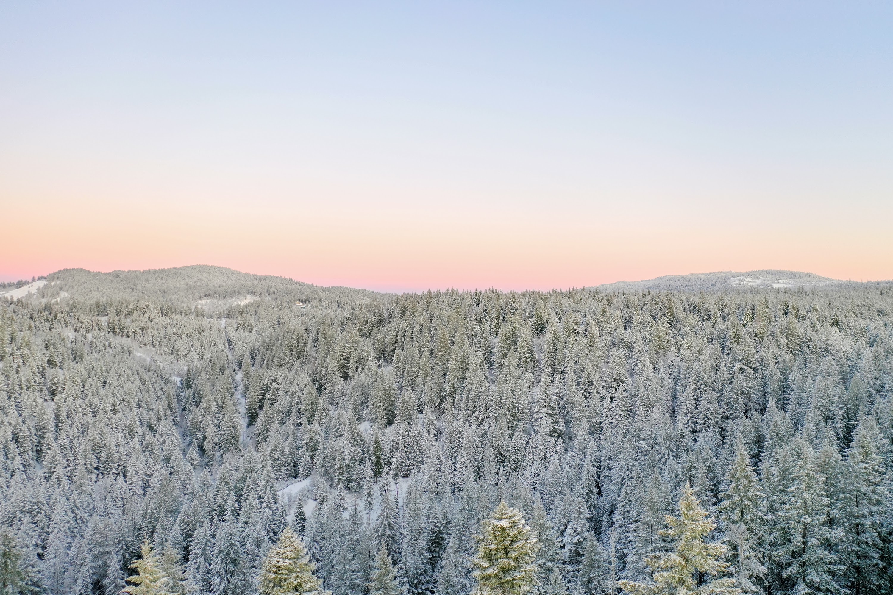 DJI_0452.jpg