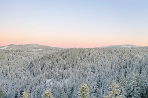 DJI_0452.jpg