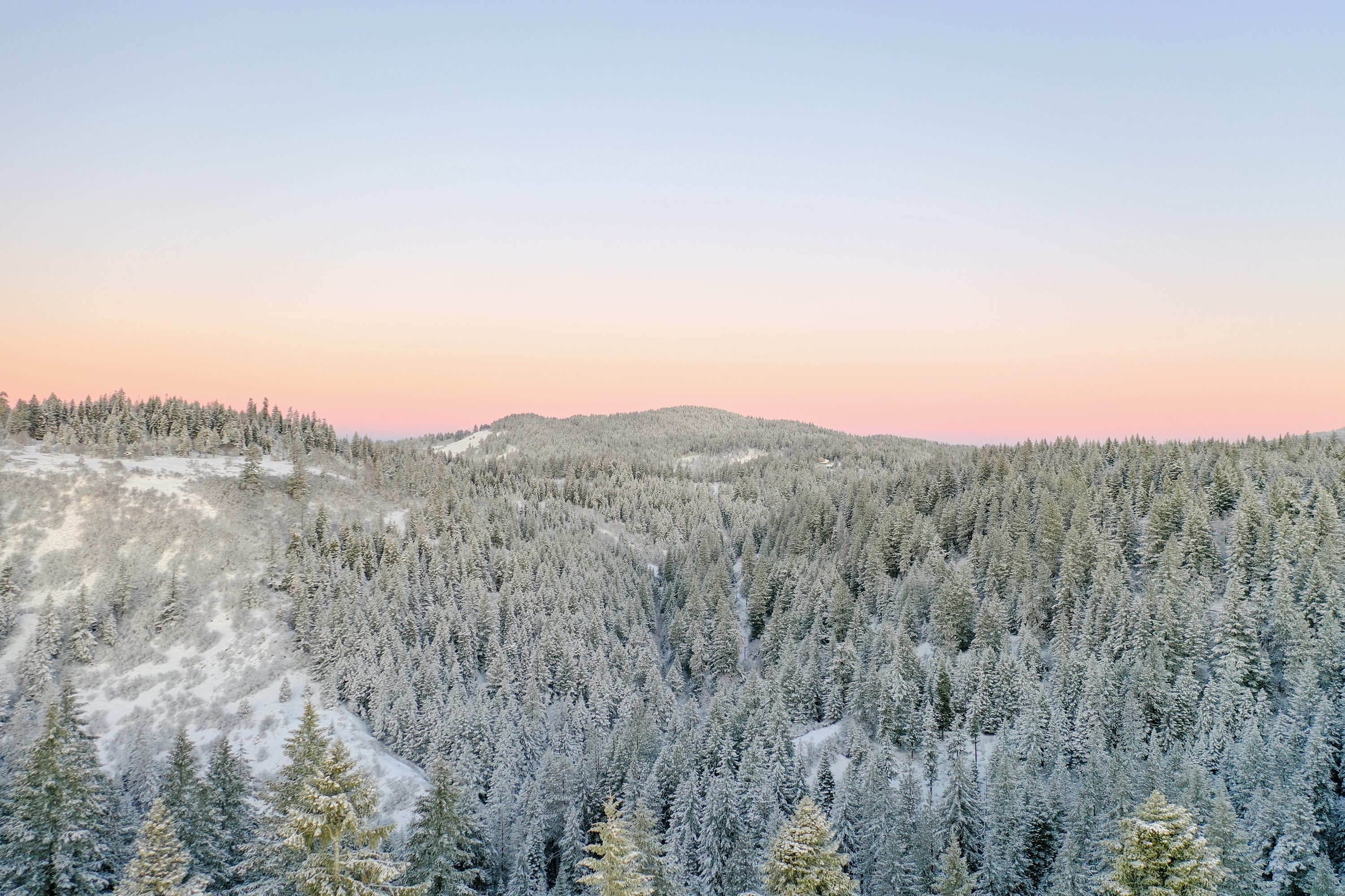 DJI_0453.jpg