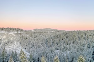 DJI_0453.jpg