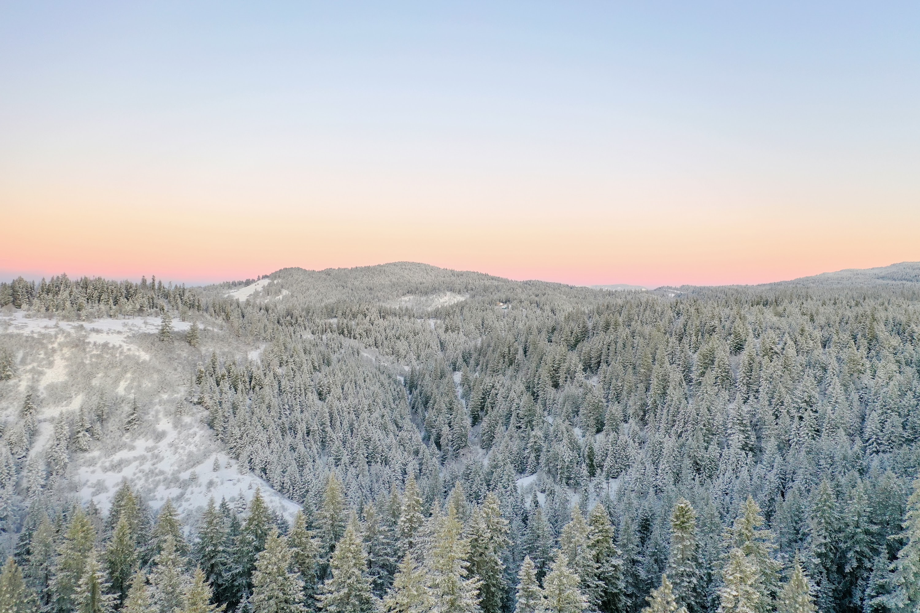 DJI_0456.jpg