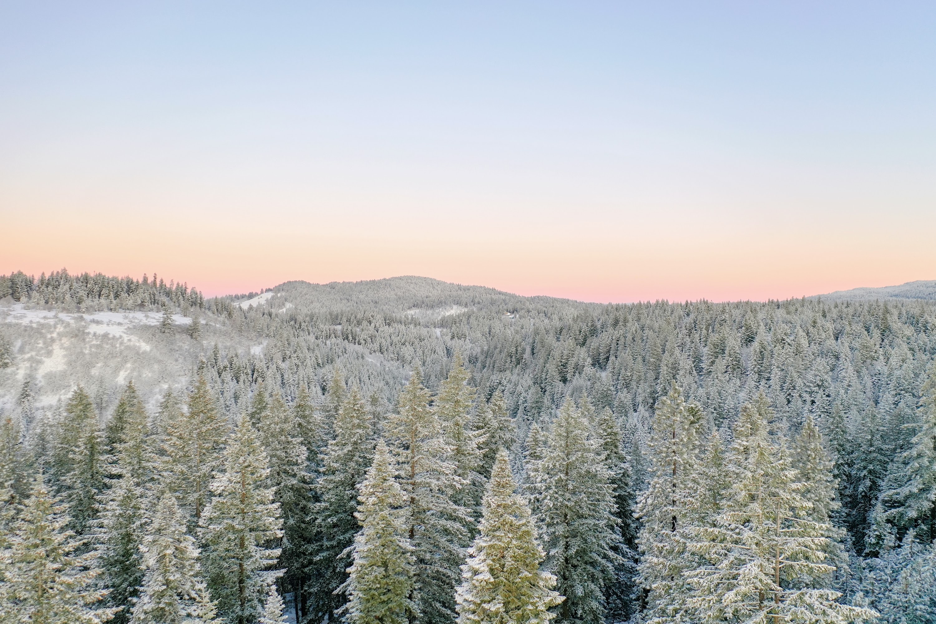 DJI_0457.jpg