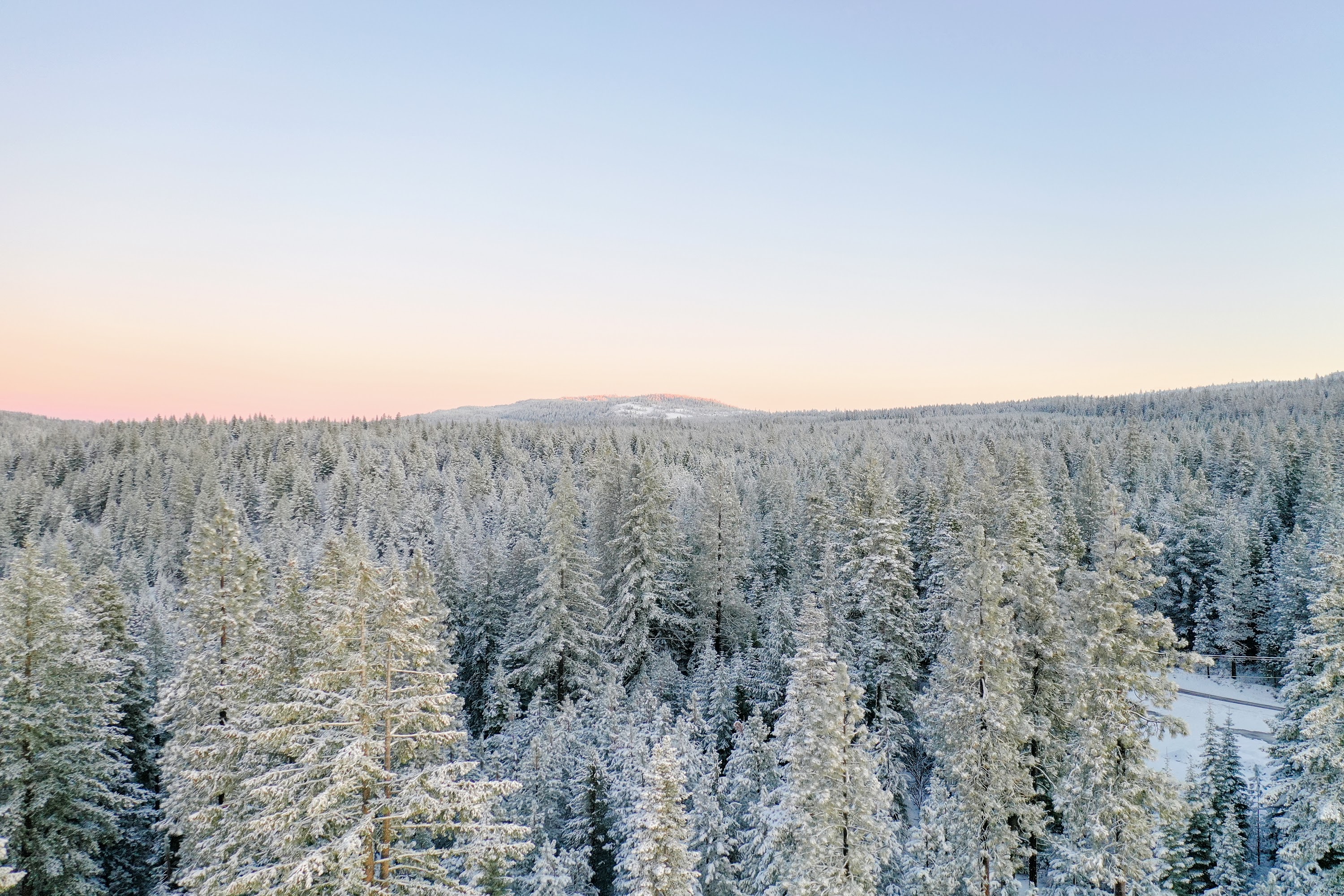 DJI_0459.jpg