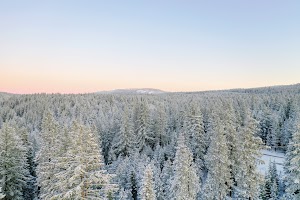 DJI_0459.jpg