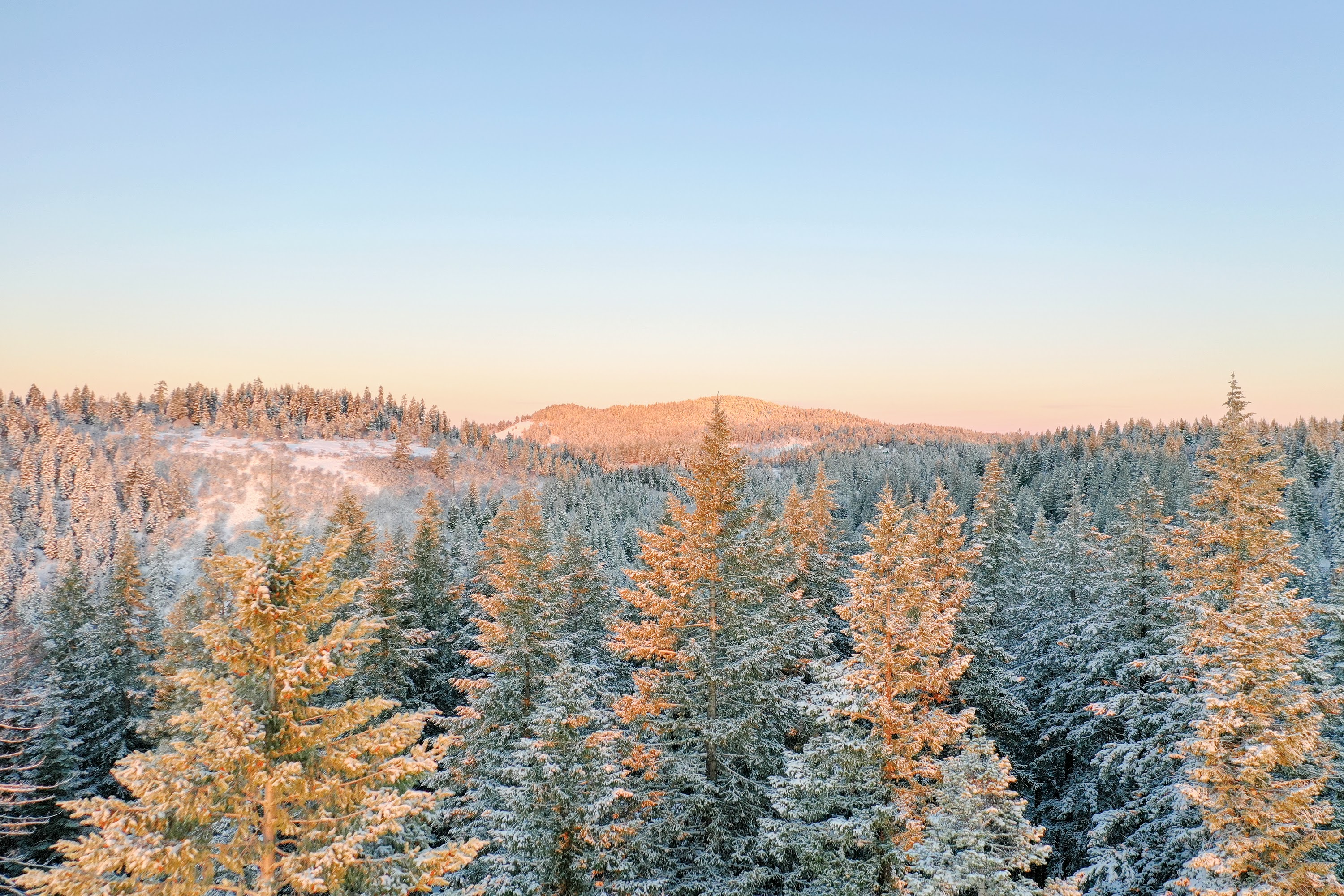 DJI_0463.jpg