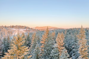 DJI_0463.jpg