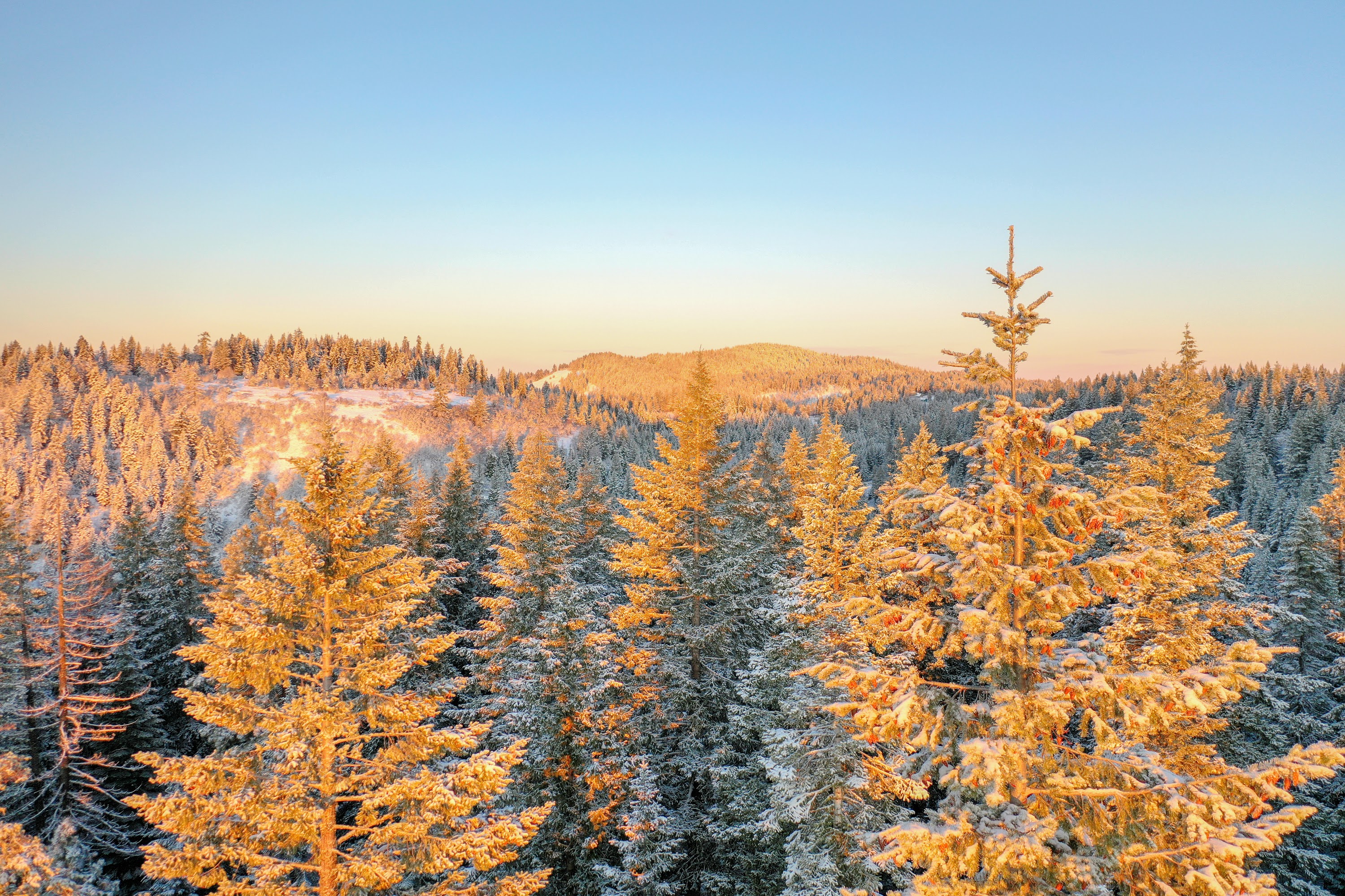 DJI_0467.jpg
