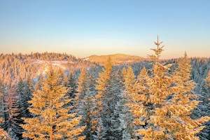DJI_0467.jpg