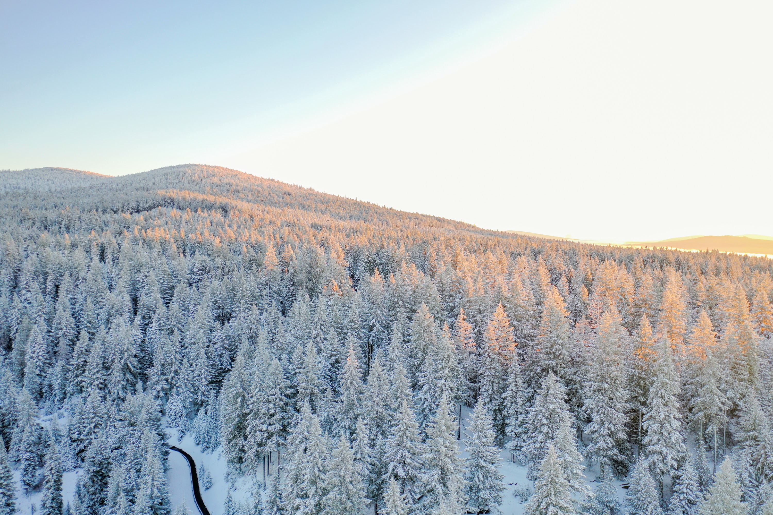 DJI_0474.jpg