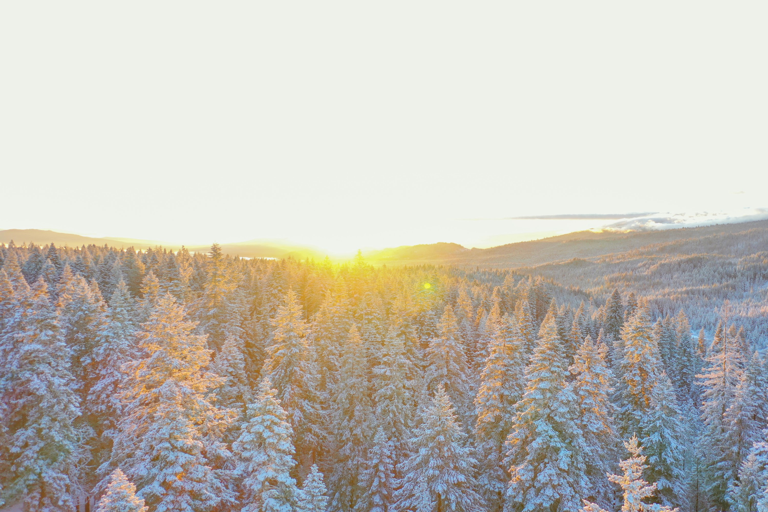 DJI_0476.jpg