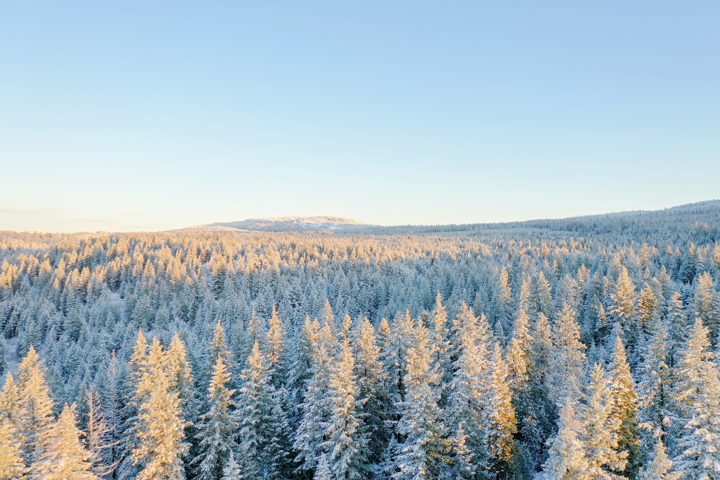 DJI_0482.jpg