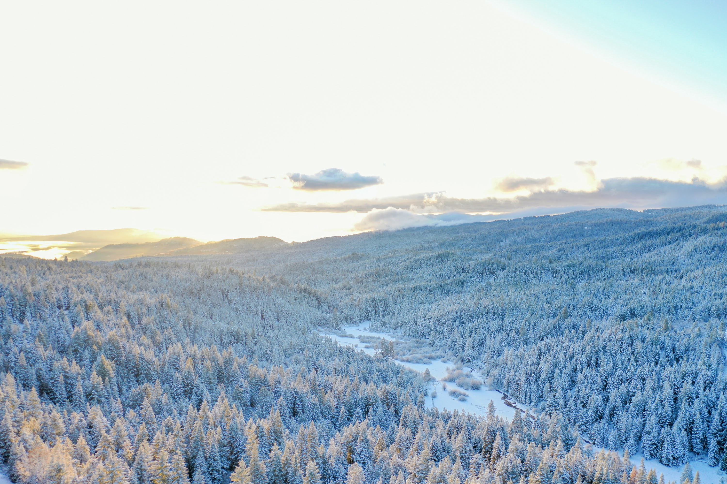 DJI_0488.jpg