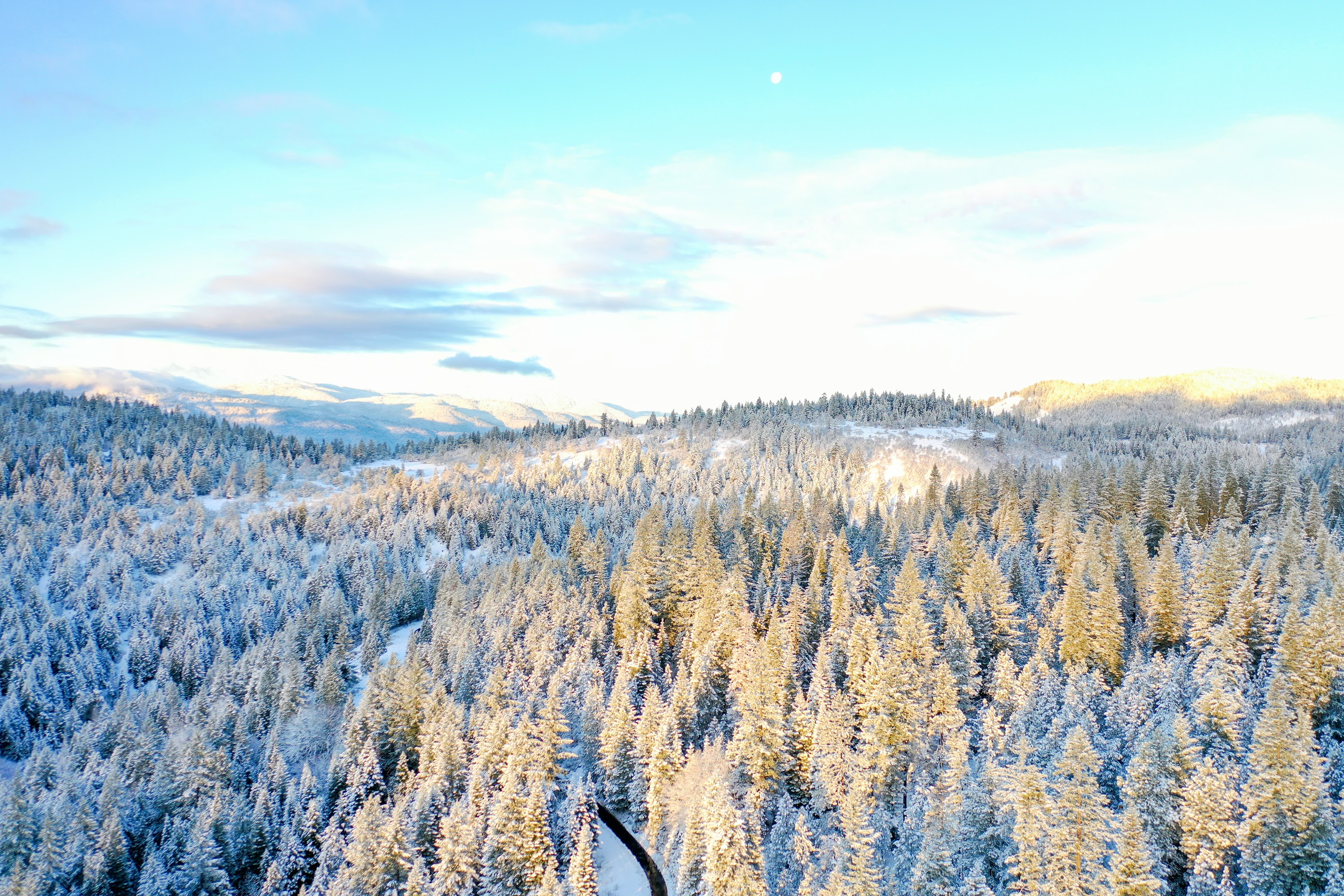 DJI_0492.jpg