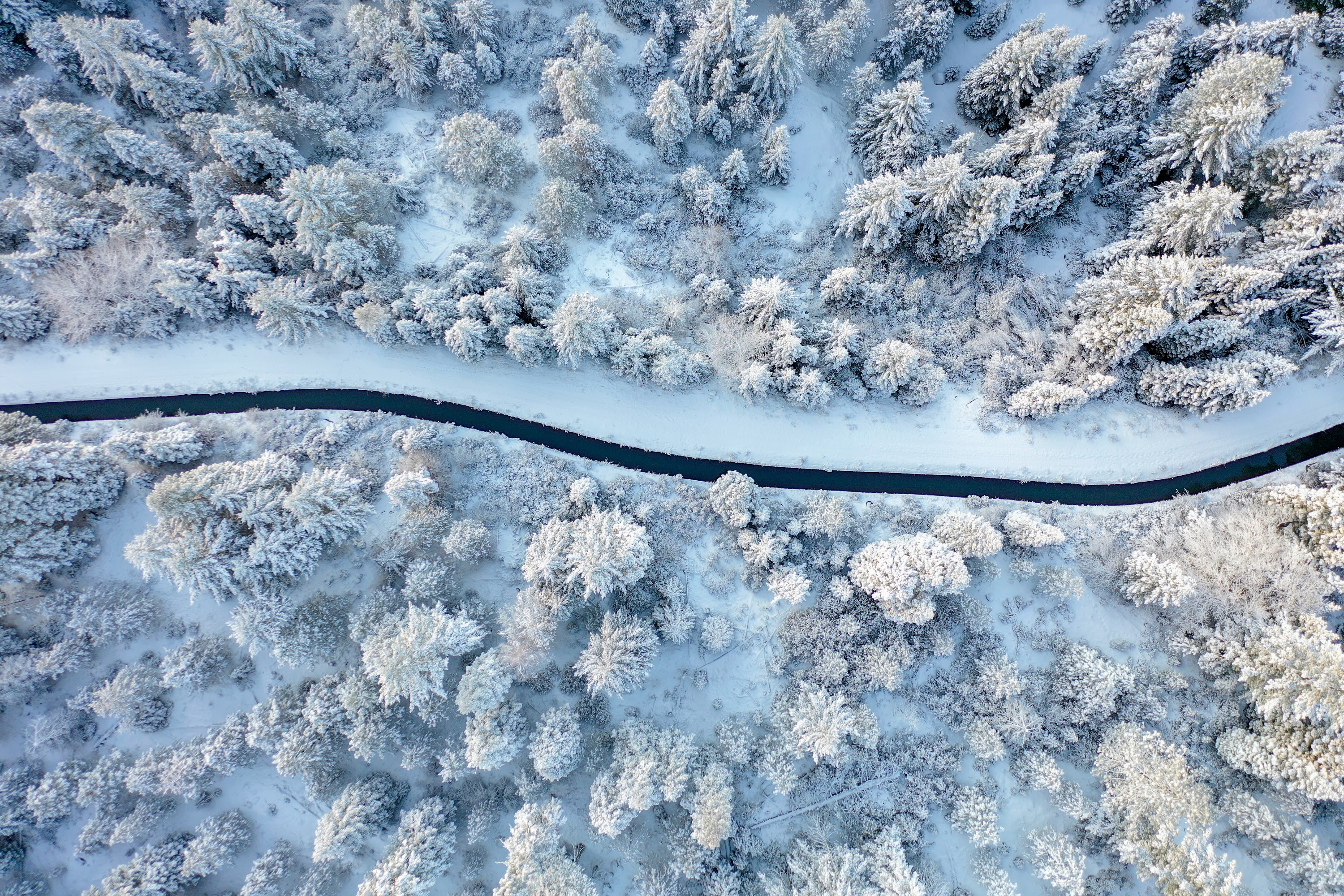 DJI_0495.jpg