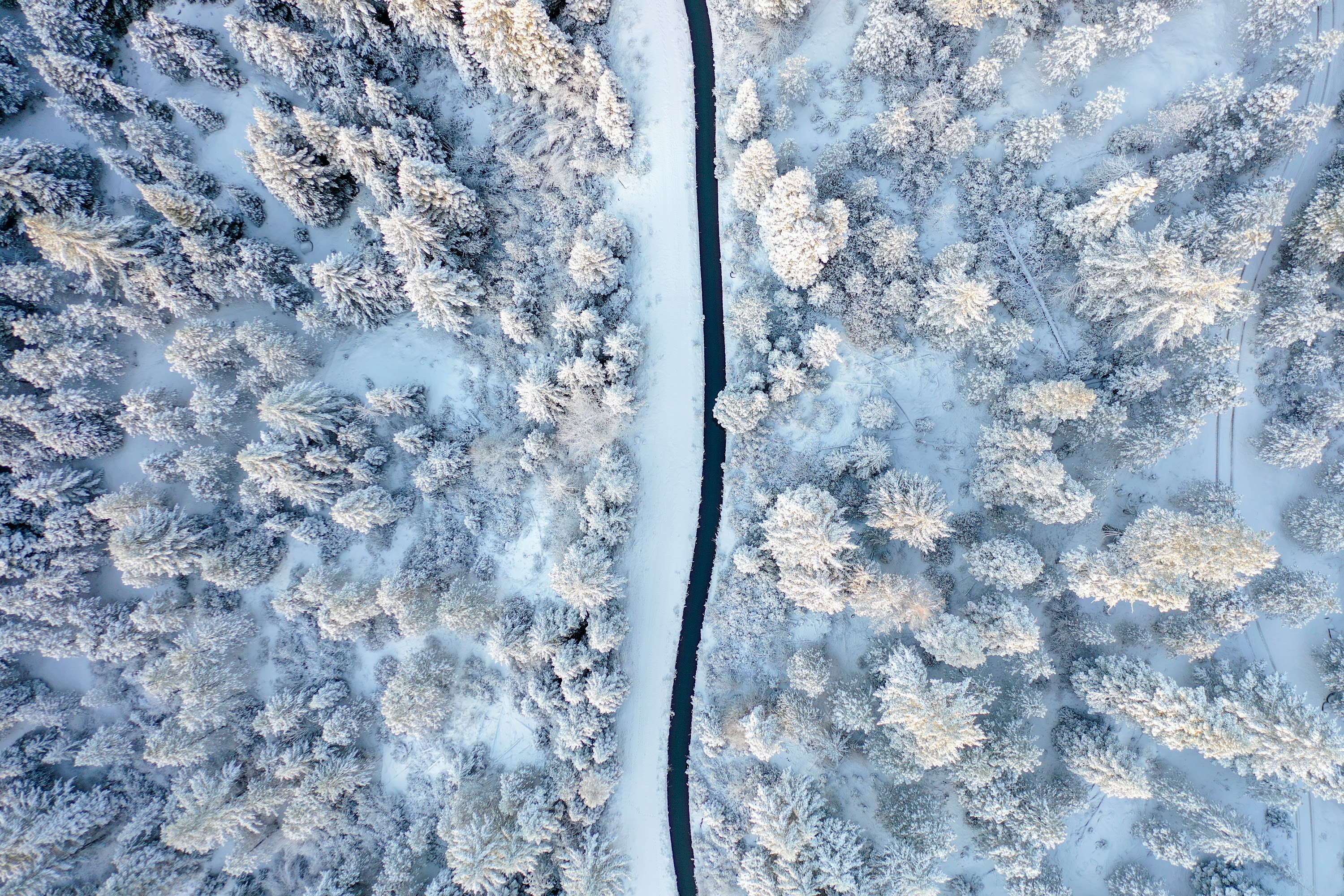 DJI_0497.jpg