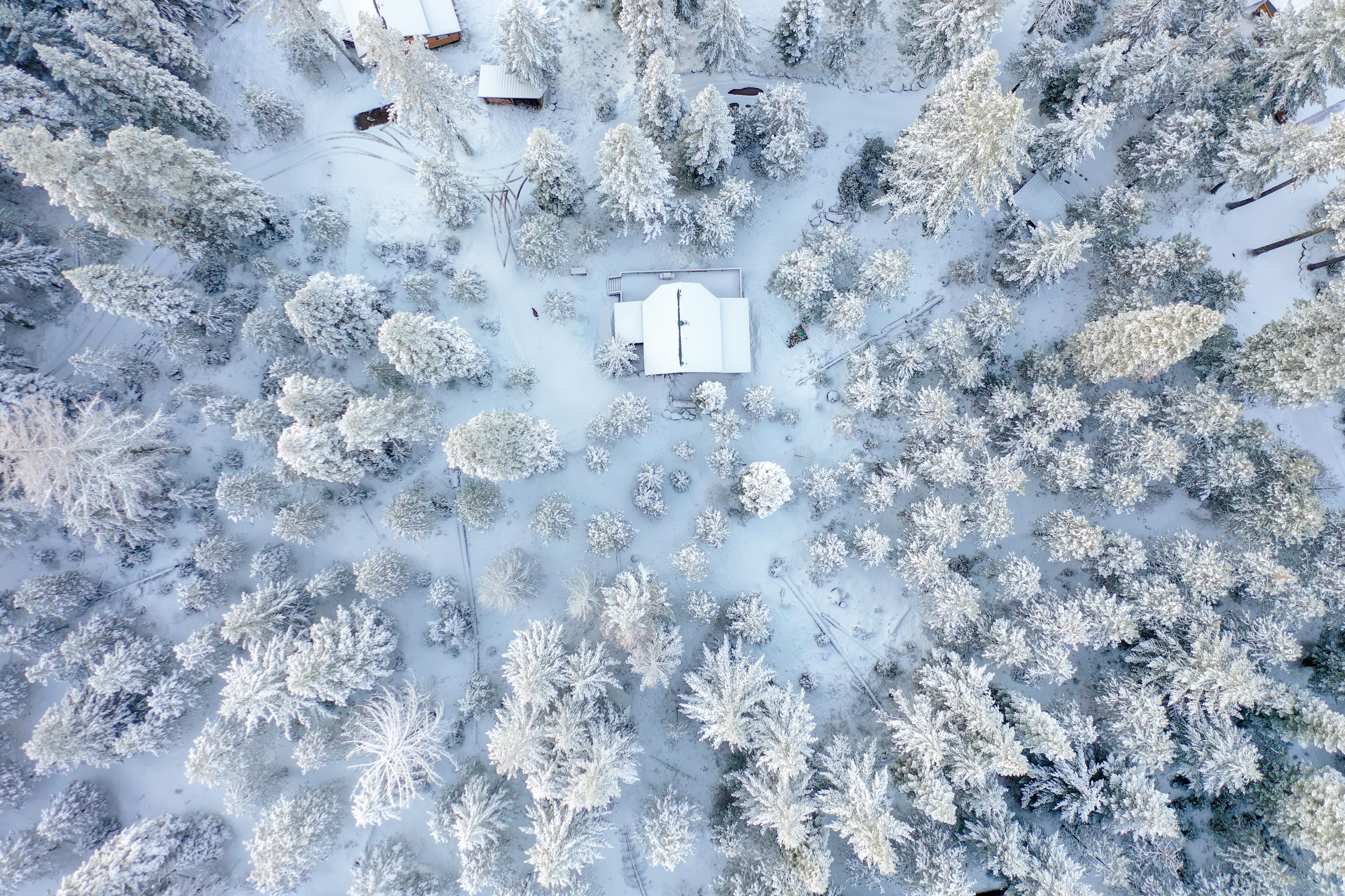 DJI_0500.jpg