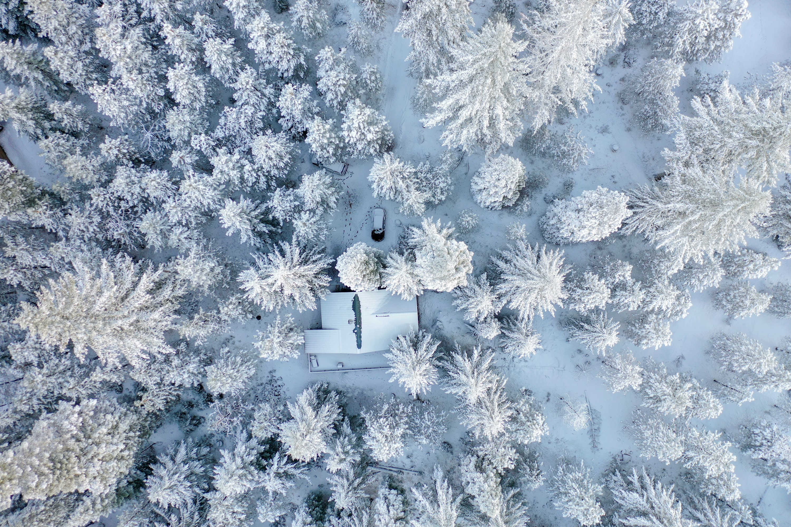 DJI_0504.jpg