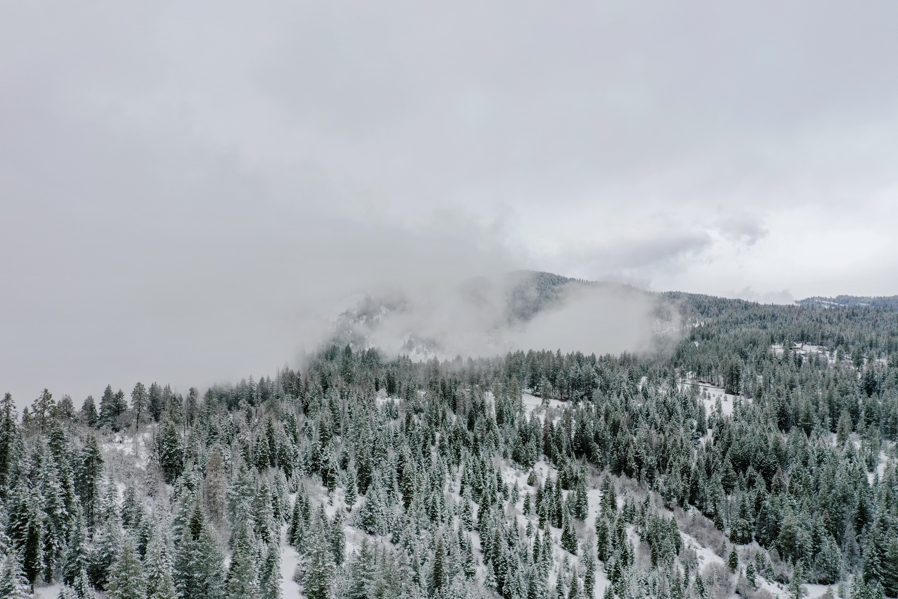 DJI_0516.jpg