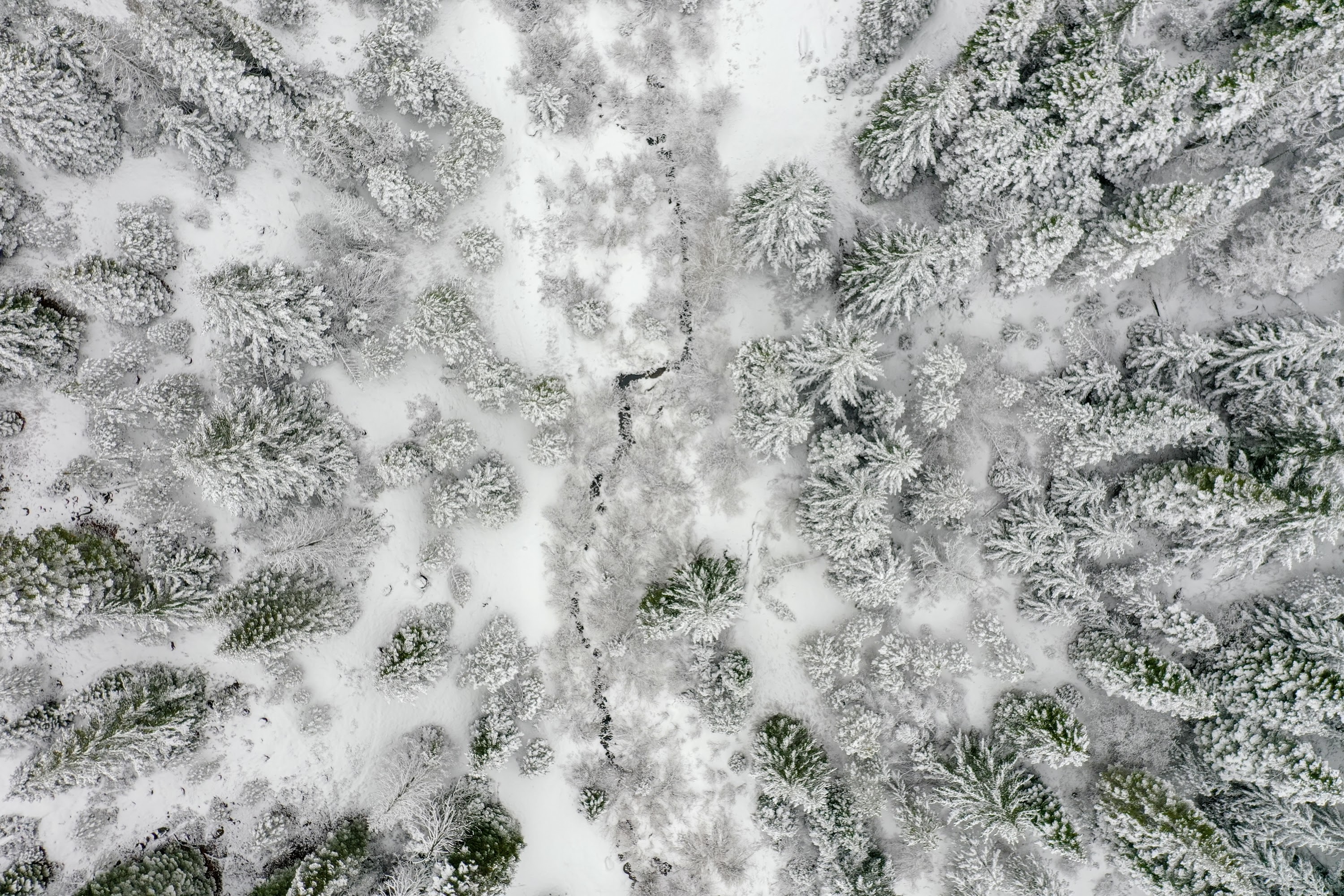DJI_0521.jpg