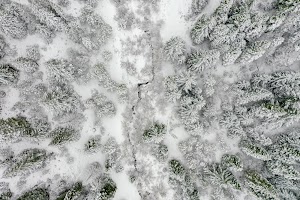 DJI_0521.jpg