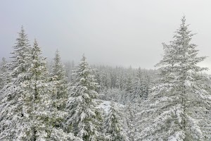 DJI_0530.jpg