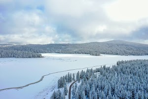 DJI_0541.jpg