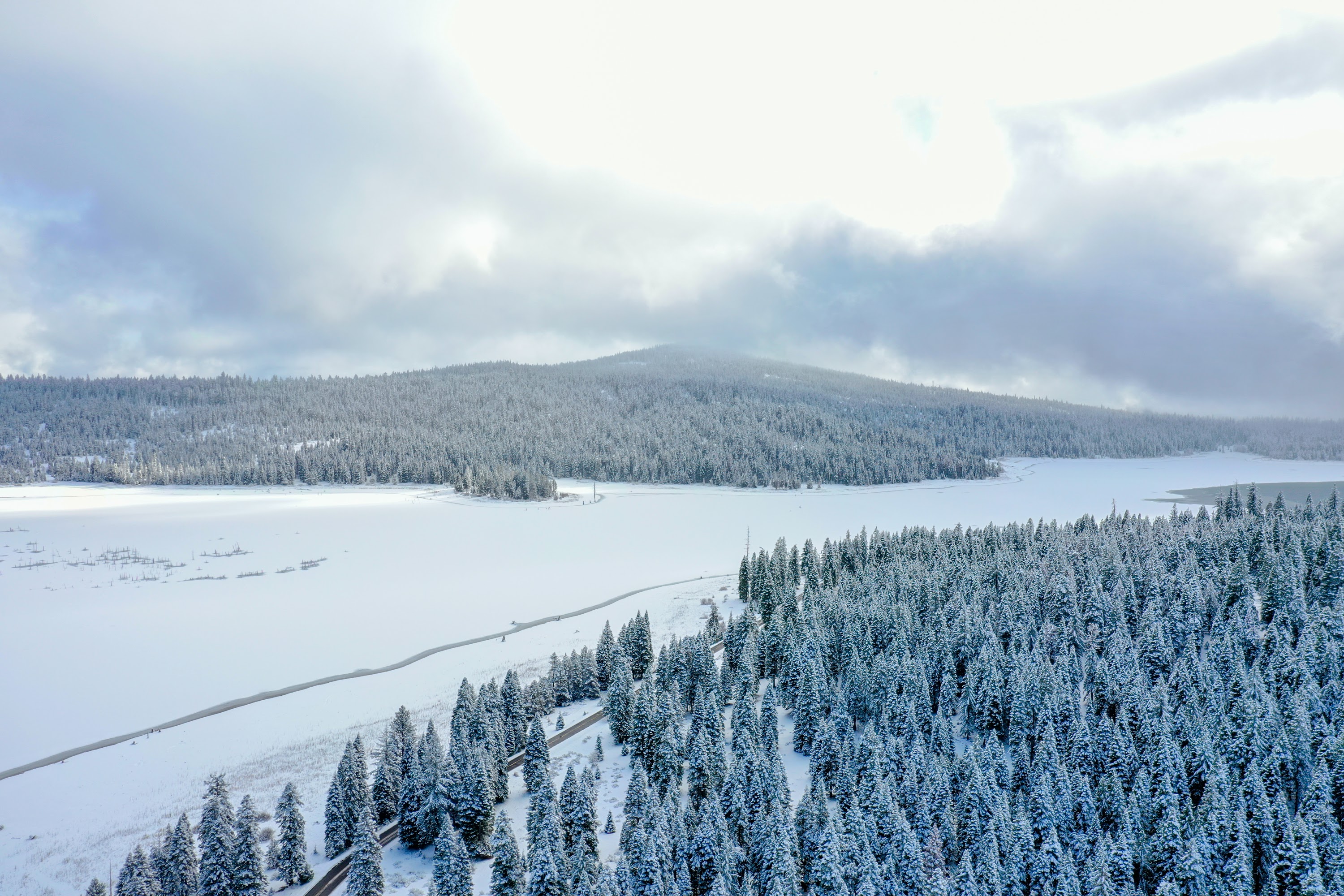 DJI_0544.jpg