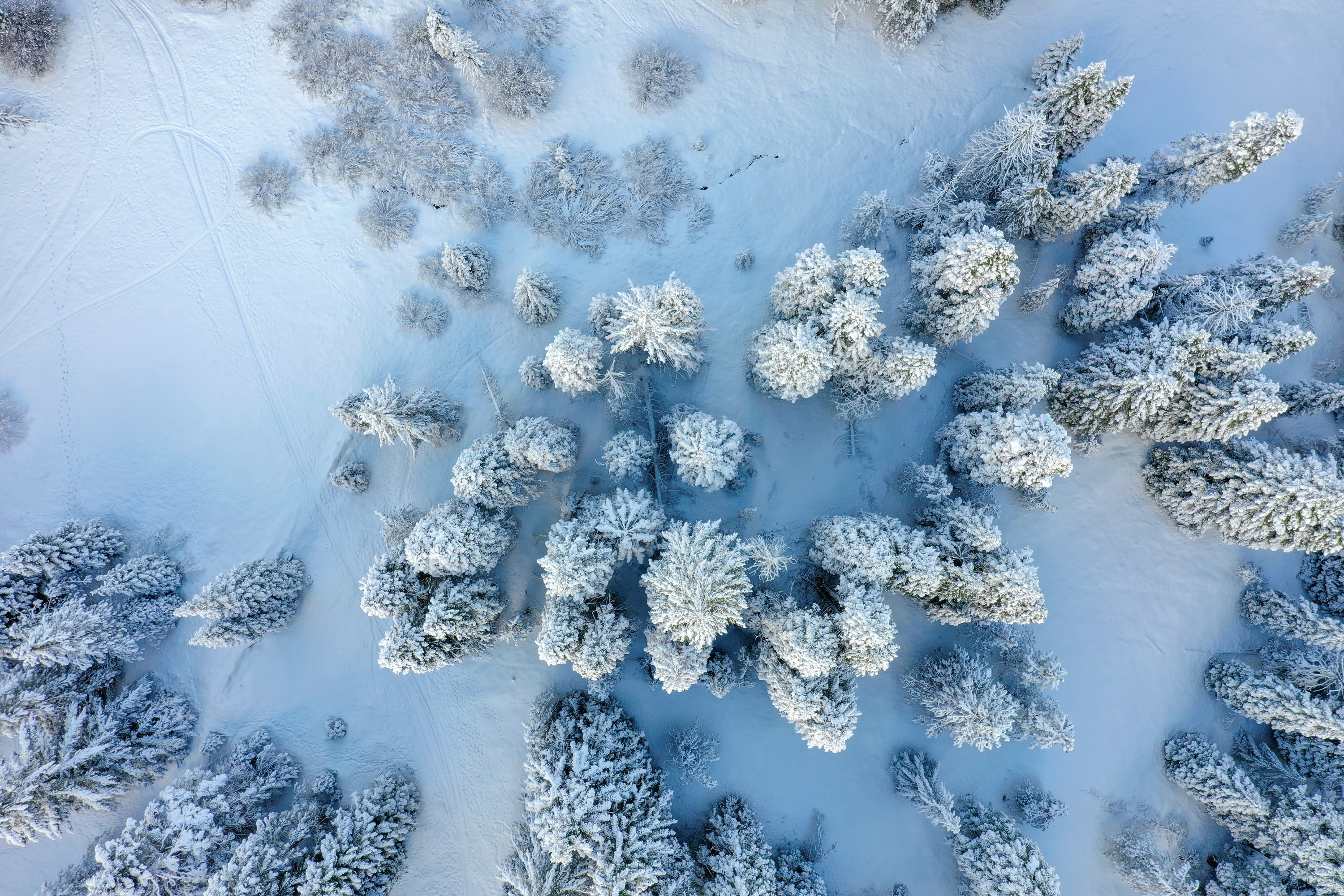 DJI_0550.jpg