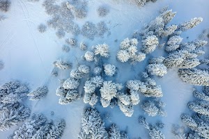 DJI_0550.jpg