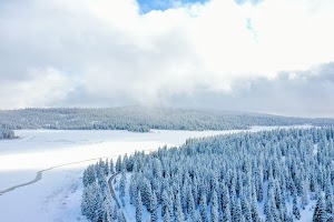 DJI_0555.jpg