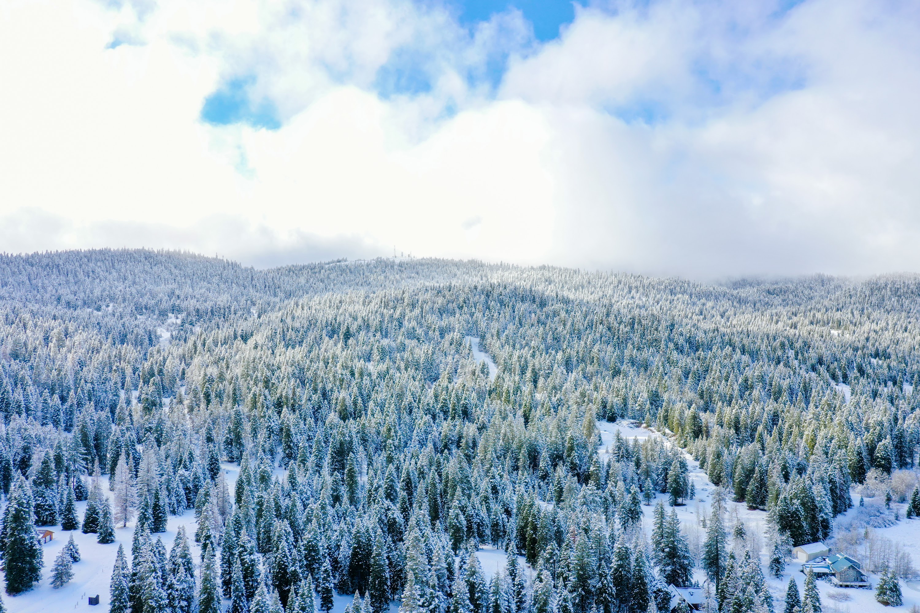 DJI_0558.jpg