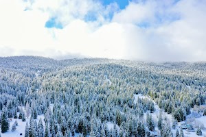 DJI_0558.jpg