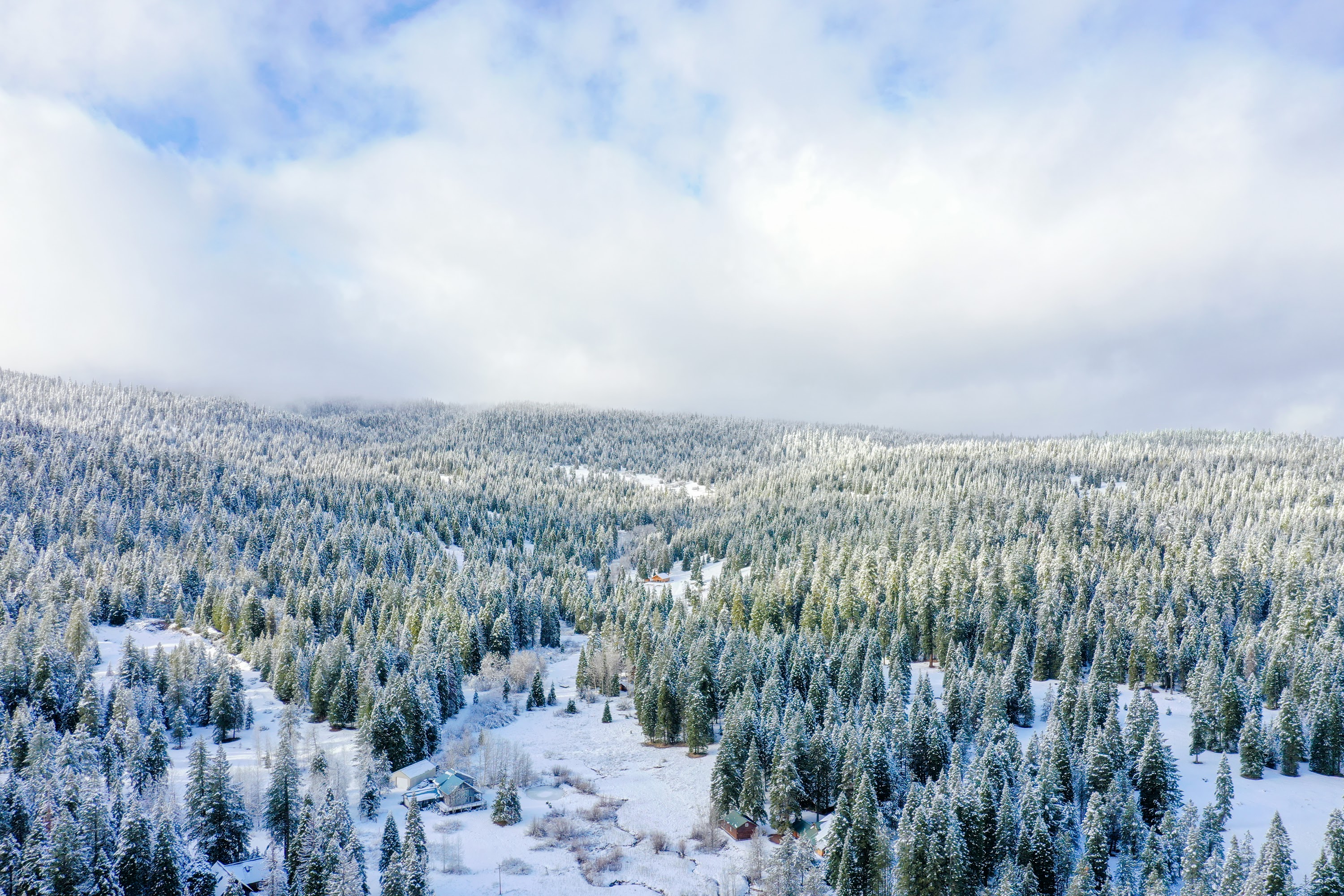 DJI_0559.jpg