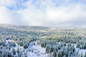 DJI_0559.jpg