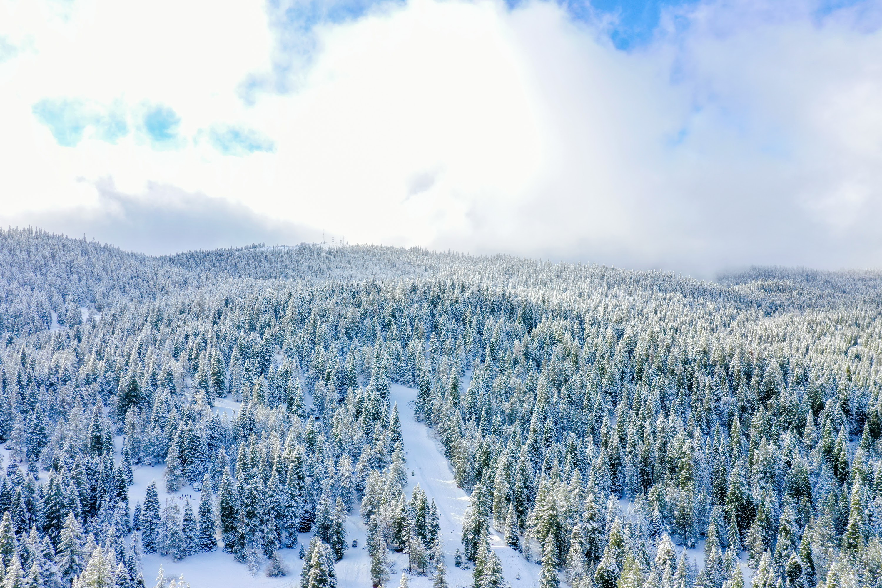 DJI_0561.jpg