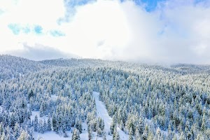 DJI_0561.jpg
