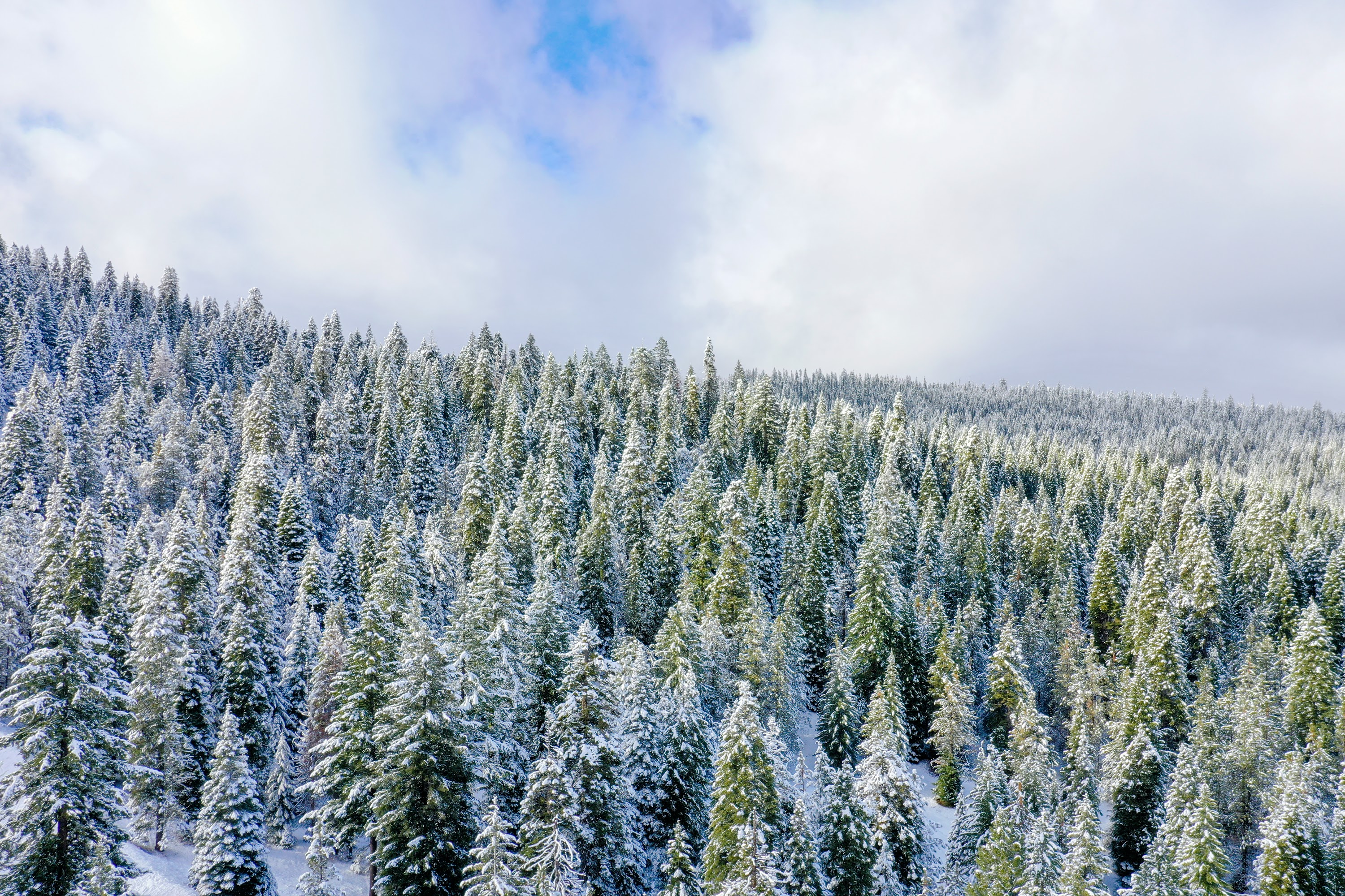 DJI_0564.jpg