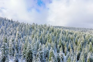 DJI_0564.jpg