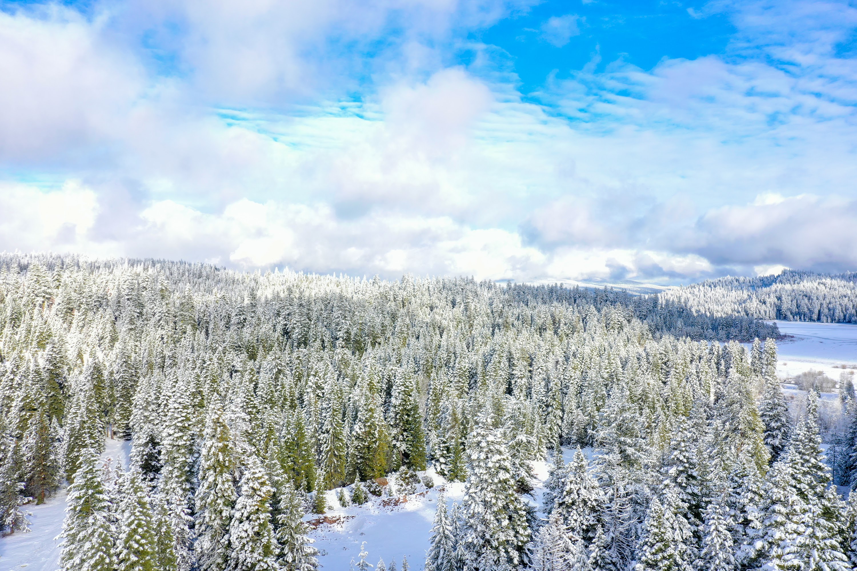 DJI_0565.jpg