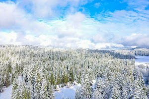 DJI_0565.jpg