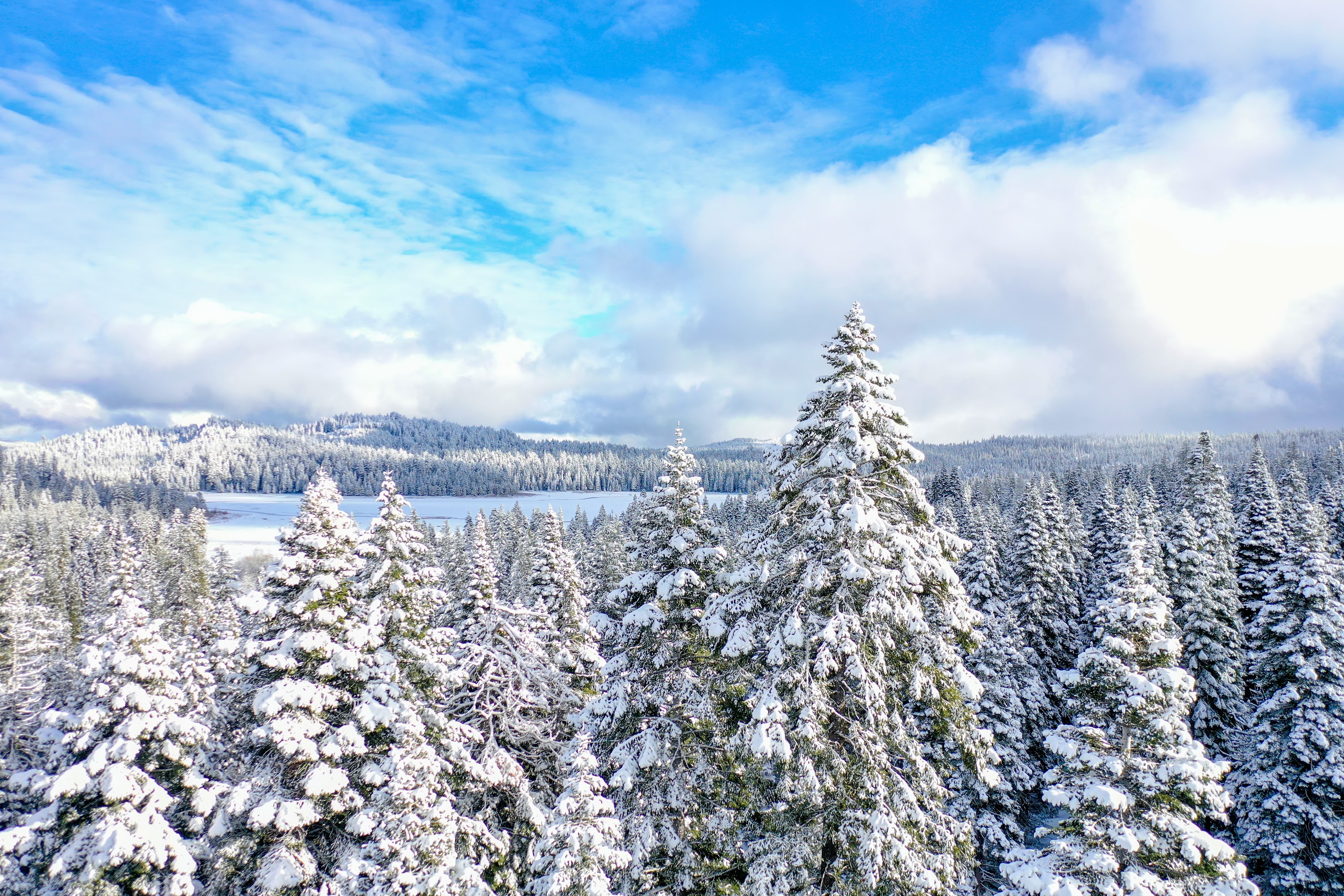 DJI_0568.jpg