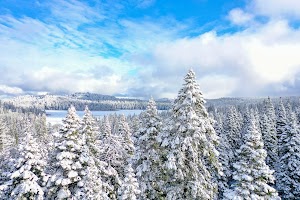 DJI_0568.jpg