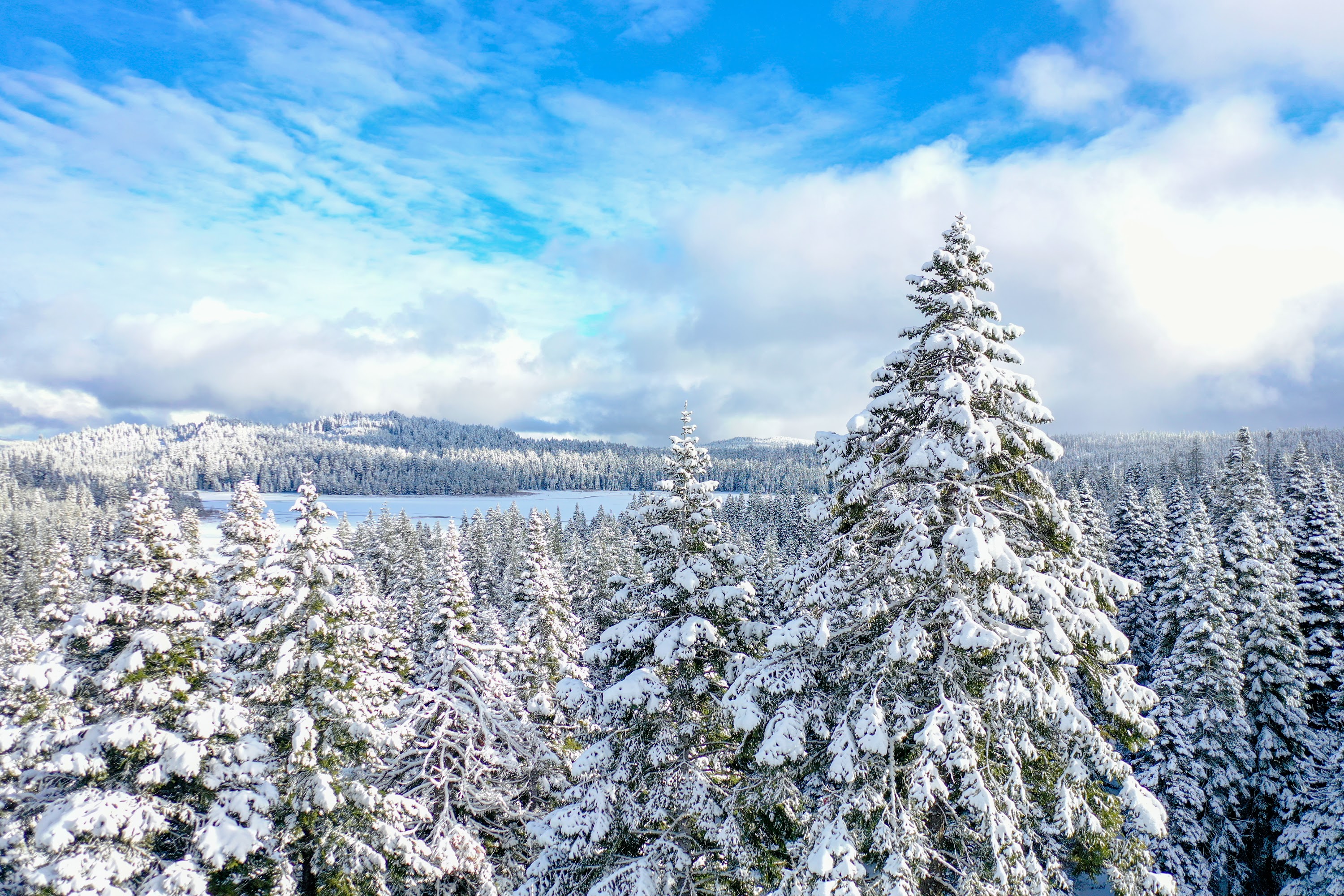 DJI_0569.jpg