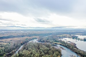DJI_0583.jpg