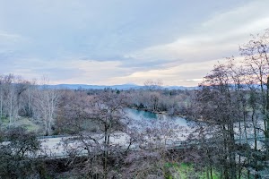 DJI_0594.jpg