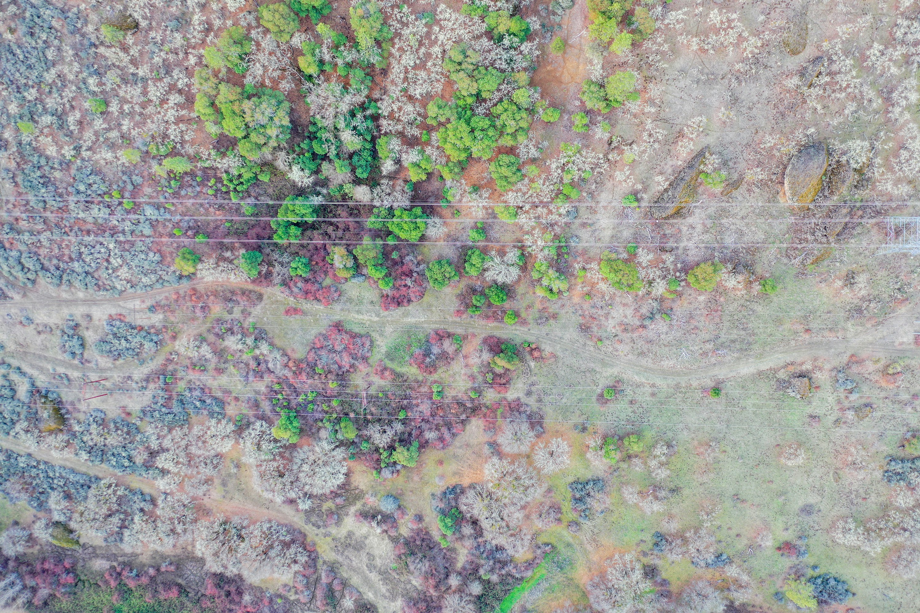 DJI_0603.jpg