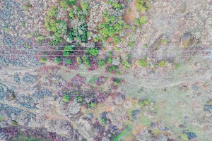 DJI_0603.jpg