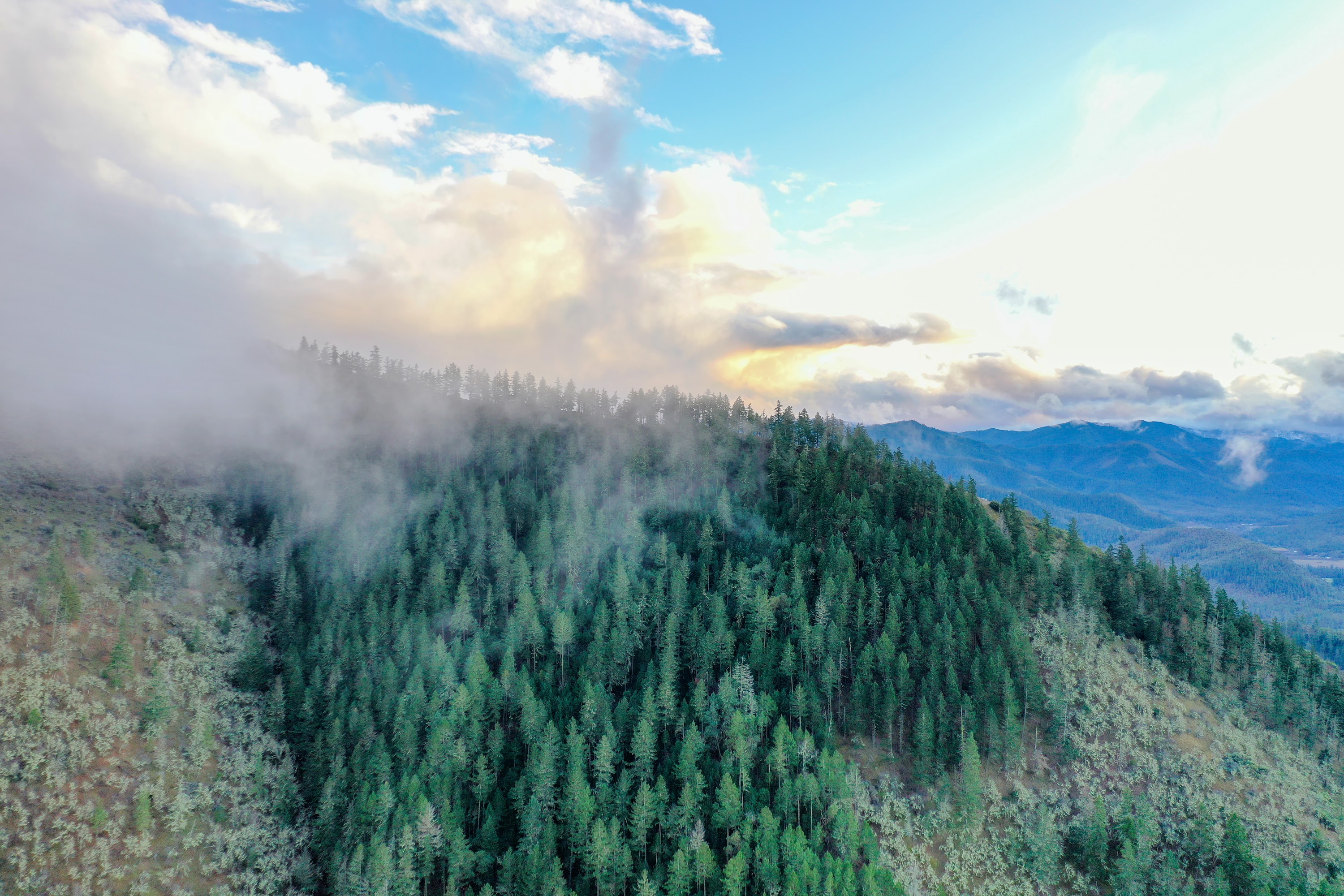 DJI_0632.jpg