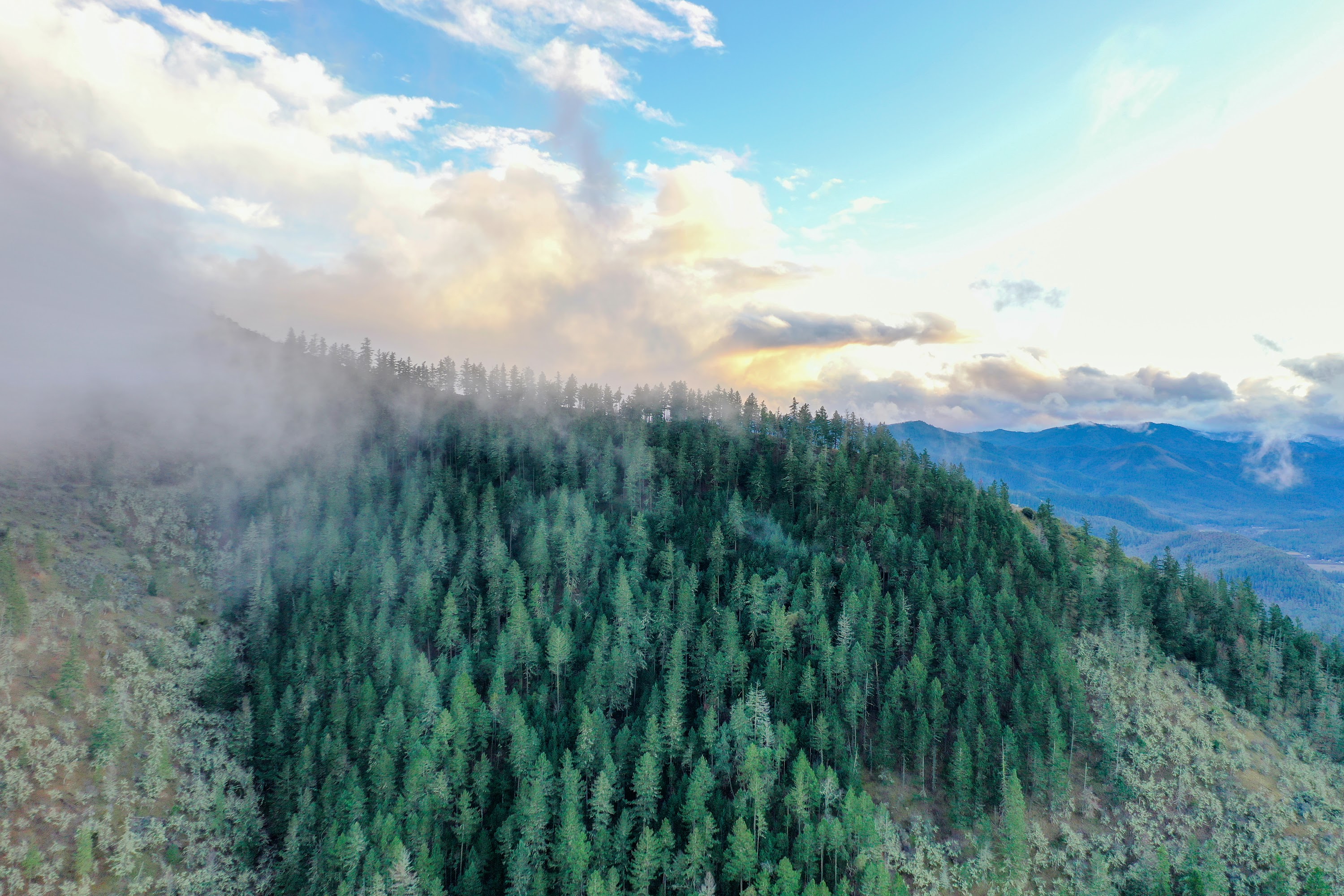 DJI_0633.jpg